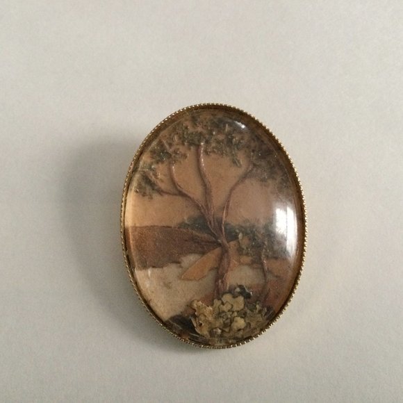 Pin brooch oval shape dried flowers 4cm x 3cm - Picture 1 of 2